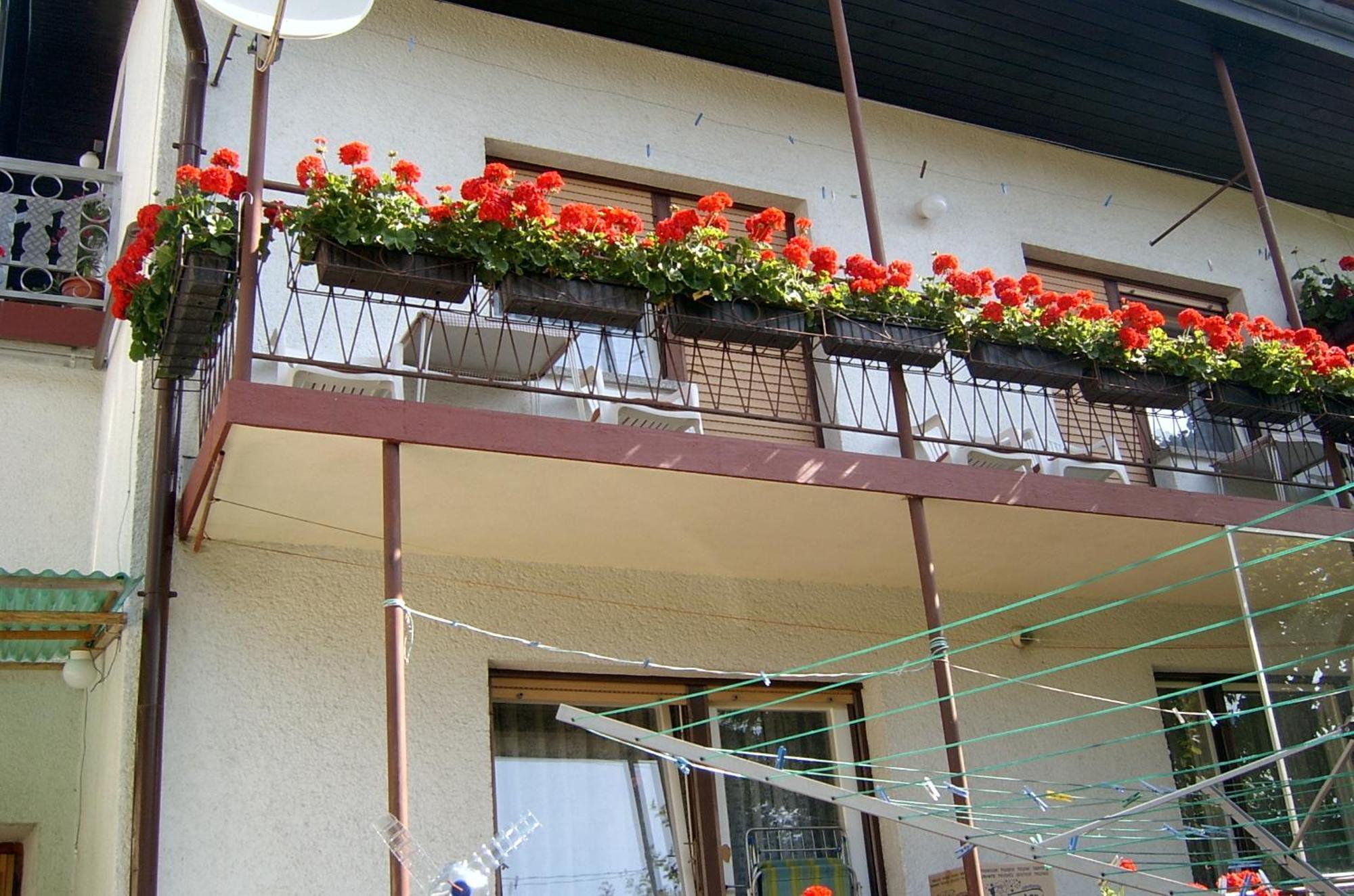Guest House Ivanka Bled Exterior photo